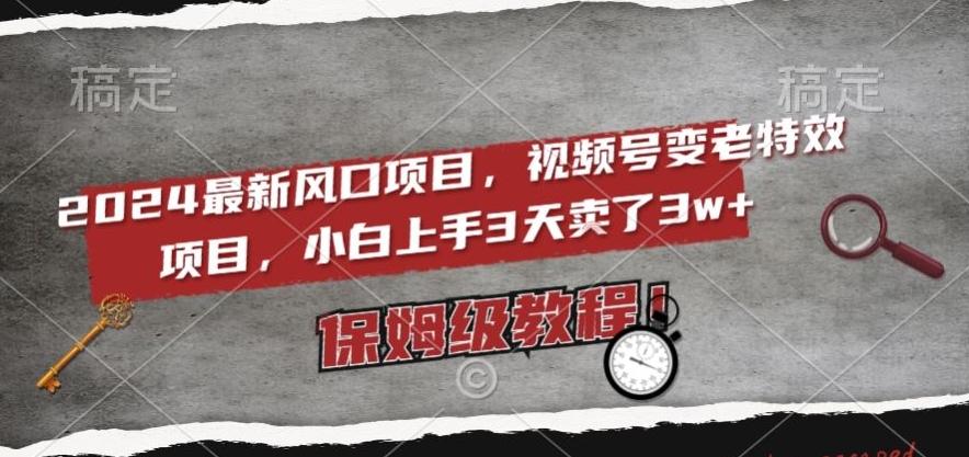 2024最新风口项目，视频号变老特效项目，电脑小白上手3天卖了3w+，保姆级教程【揭秘】-泱泱学习社