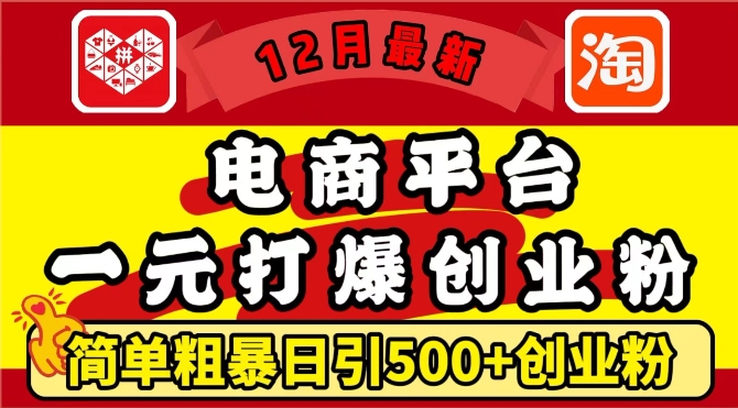 12月最新：电商平台1元打爆创业粉，简单粗暴日引500+精准创业粉，轻松月入过W【揭秘】-泱泱学习社