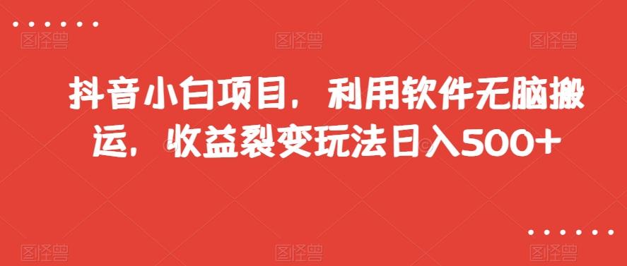 抖音小白项目，利用软件无脑搬运，收益裂变玩法日入500+【揭秘】-泱泱学习社
