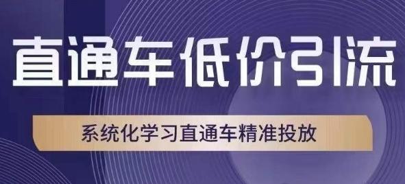 直通车低价引流课，系统化学习直通车精准投放-泱泱学习社