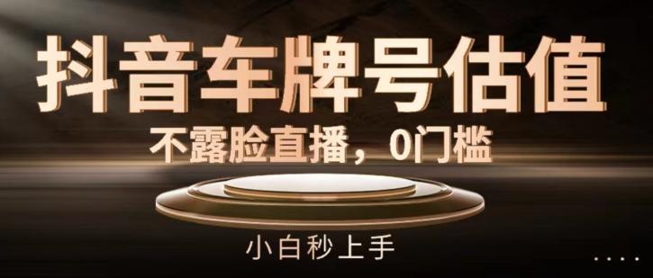 抖音车牌号估值，不露脸直播，0门槛，小白秒上手【揭秘】-泱泱学习社