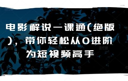 电影解说一课通(绝版)，带你轻松从0进阶为短视频高手-泱泱学习社