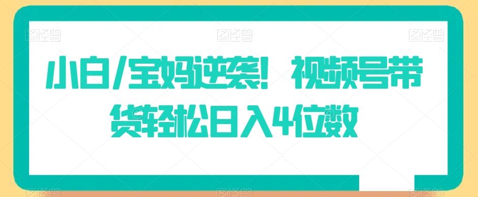 小白/宝妈逆袭！视频号带货轻松日入4位数【揭秘】-泱泱学习社