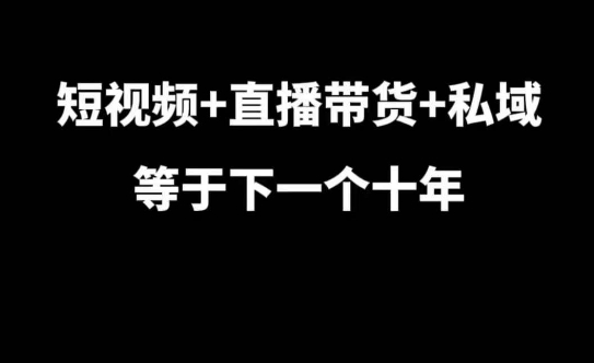 短视频+直播带货+私域等于下一个十年，大佬7年实战经验总结-泱泱学习社