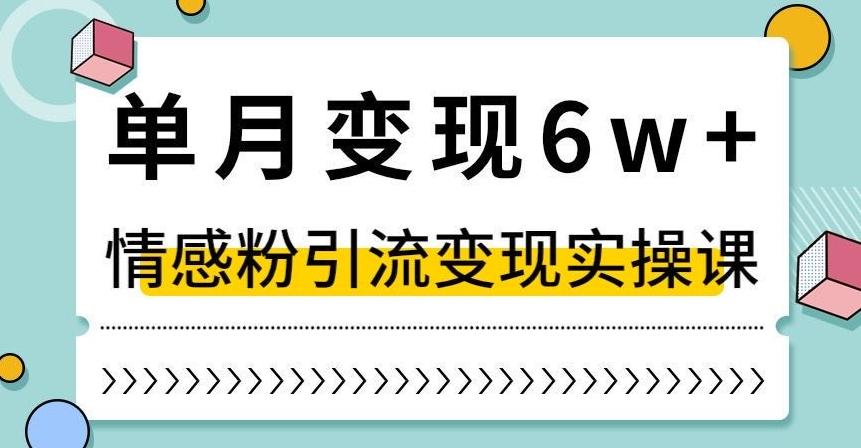 单月变现6W+，抖音情感粉引流变现实操课，小白可做，轻松上手，独家赛道【揭秘】-泱泱学习社