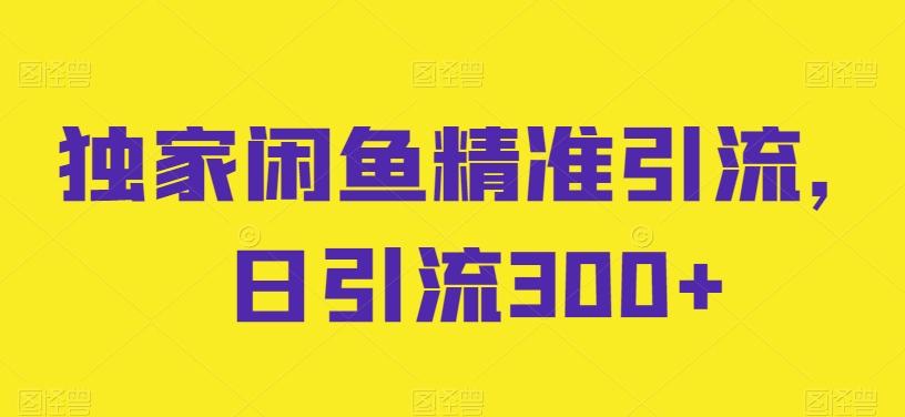 独家闲鱼精准引流，日引流300+【揭秘】-泱泱学习社