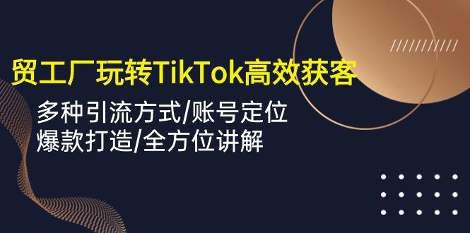 外贸工厂玩转TikTok高效获客，多种引流方式/账号定位/爆款打造/全方位讲解-泱泱学习社
