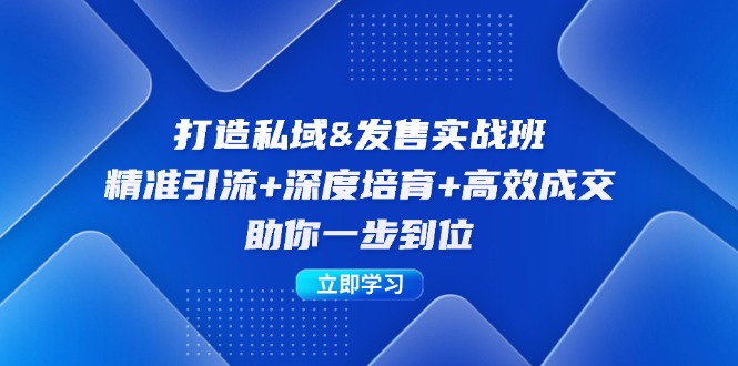 打造私域&发售实操班：精准引流+深度培育+高效成交，助你一步到位-泱泱学习社
