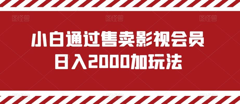 小白通过售卖影视会员日入2000加玩法-泱泱学习社