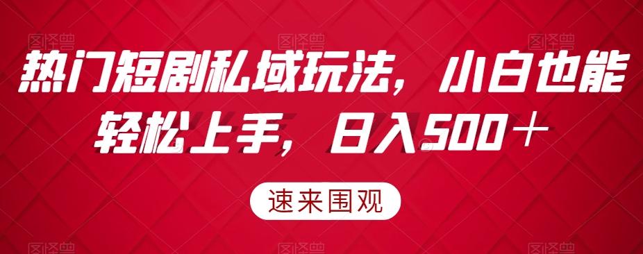 热门短剧私域玩法，小白也能轻松上手，日入500＋-泱泱学习社