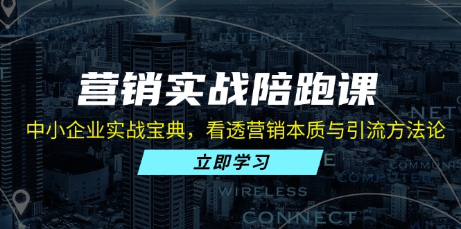 营销实战陪跑课：中小企业实战宝典，看透营销本质与引流方法论-泱泱学习社