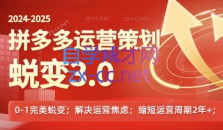 大力老师·2024拼多多运营策略蜕变3.0-泱泱学习社