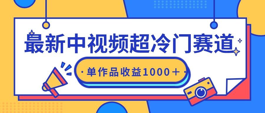 (9275期)最新中视频超冷门赛道，轻松过原创，单条视频收益1000＋-泱泱学习社