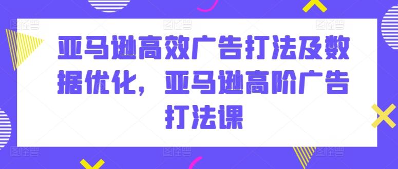 亚马逊高效广告打法及数据优化，亚马逊高阶广告打法课-泱泱学习社