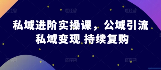 私域进阶实操课，公域引流 私域变现 持续复购-泱泱学习社