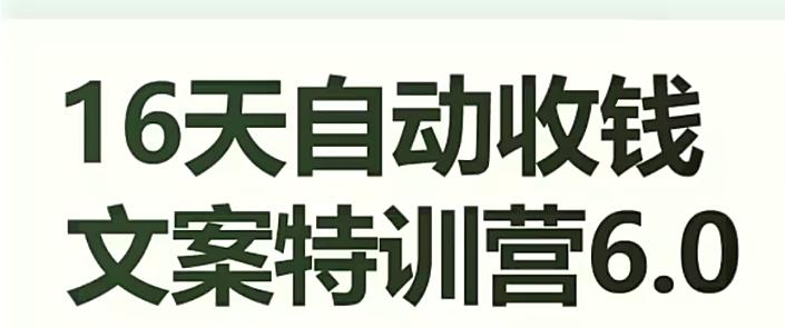 16天自动收钱文案特训营6.0，学会儿每天自动咔咔收钱-泱泱学习社
