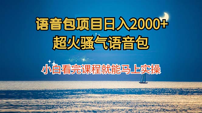 语音包项目 日入2000+ 超火骚气语音包小白看完课程就能马上实操-泱泱学习社