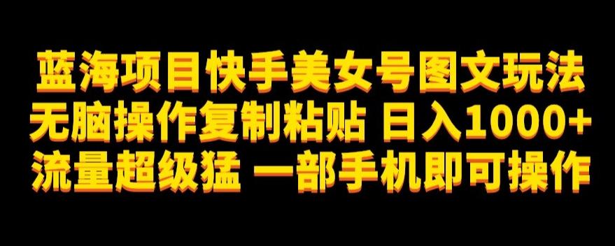 蓝海项目快手美女号图文玩法，无脑操作复制粘贴，日入1000+流量超级猛一部手机即可操作【揭秘】-泱泱学习社