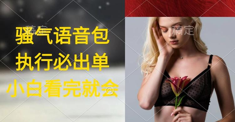 (9589期)执行就出单，日入2000+，超火骚气语音包，小白看完课程就能马上实操-泱泱学习社