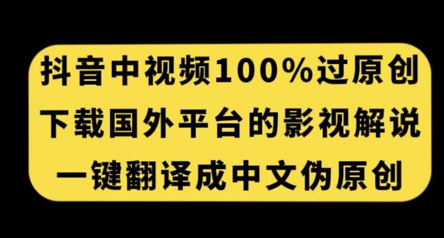 抖音中视频百分百过原创，下载国外平台的电影解说，一键翻译成中文获取收益-泱泱学习社