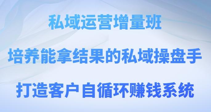 私域运营增量班，培养能拿结果的私域操盘手，打造客户自循环赚钱系统-泱泱学习社