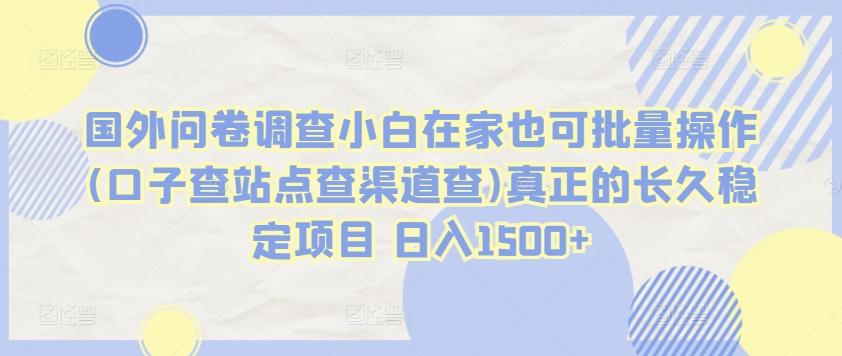 国外问卷调查小白在家也可批量操作(口子查站点查渠道查)真正的长久稳定项目 日入1500+【揭秘】-泱泱学习社