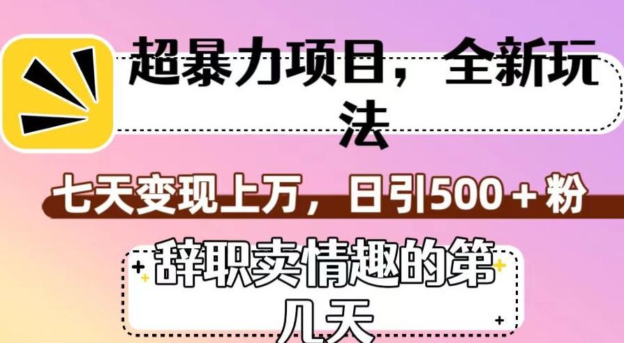 超暴利项目，全新玩法（辞职卖情趣的第几天），七天变现上万，日引500+粉【揭秘】-泱泱学习社