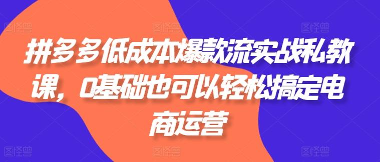 拼多多低成本爆款流实战私教课，0基础也可以轻松搞定电商运营-泱泱学习社