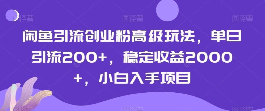 闲鱼引流创业粉高级玩法，单日引流200+，稳定收益2000+，小白入手项目-泱泱学习社