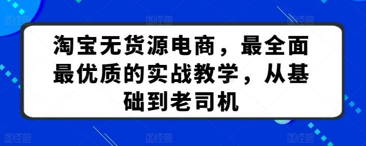 淘宝无货源电商，最全面最优质的实战教学，从基础到老司机-泱泱学习社