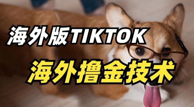 抖音海外版tiktok撸金技术，这个风口行业，赚钱真的不难【揭秘】-泱泱学习社