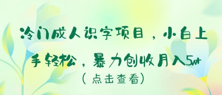 冷门成人识字项目，小白上手轻松，暴力创收月入5w+【揭秘】-泱泱学习社