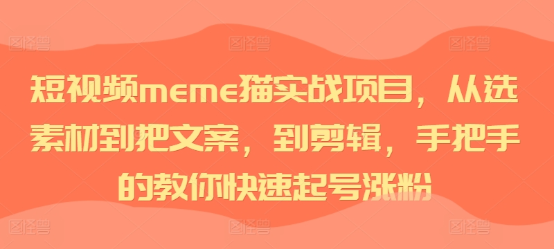 短视频meme猫实战项目，从选素材到把文案，到剪辑，手把手的教你快速起号涨粉-泱泱学习社