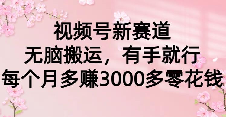 (9278期)视频号新赛道，无脑搬运，有手就行，每个月多赚3000多零花钱-泱泱学习社