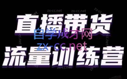 婉婉·直播带货课程系列合集(更新8月)-泱泱学习社