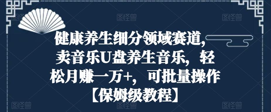 健康养生细分领域赛道，卖音乐U盘养生音乐，轻松月赚一万+，可批量操作【保姆级教程】-泱泱学习社