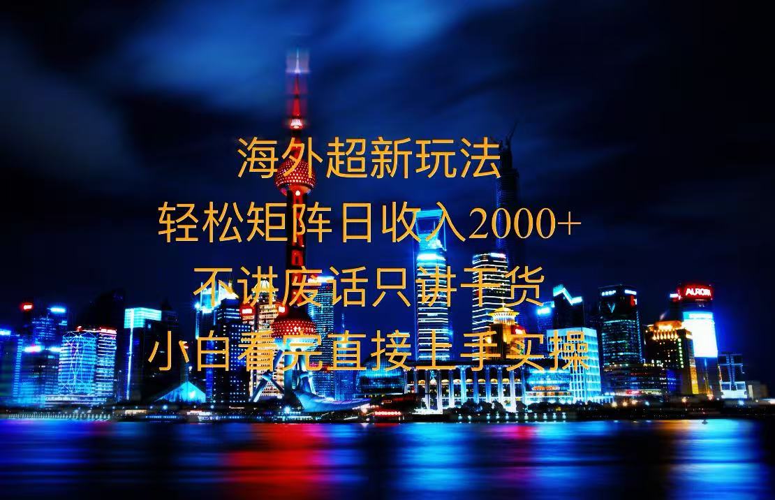 2025全新海外暴力玩法，操作简单，小白轻松上手-泱泱学习社