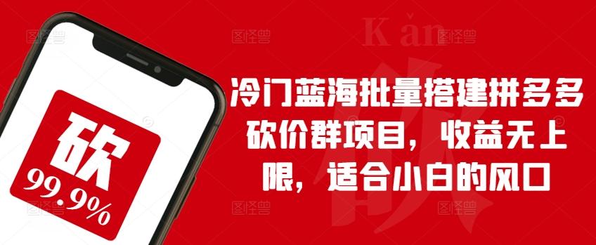 冷门蓝海批量搭建拼多多砍价群项目，收益无上限，适合小白的风口【揭秘】-泱泱学习社
