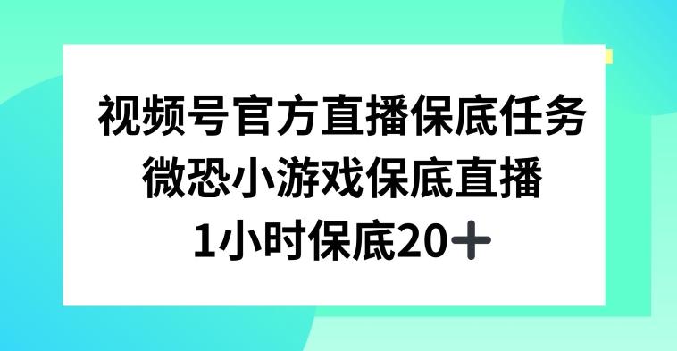 视频号直播任务，微恐小游戏，1小时20+【揭秘】-泱泱学习社