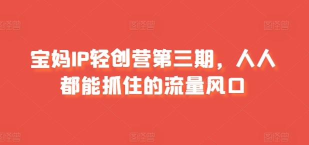 宝妈IP轻创营第三期，人人都能抓住的流量风口-泱泱学习社