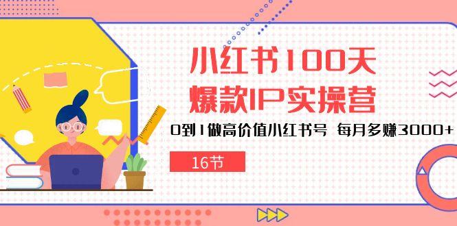 小红书100天-爆款IP实操营，0到1做高价值小红书号 每月多赚3000+(16节-泱泱学习社