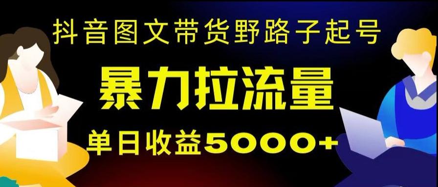 抖音图文带货暴力起号，单日收益5000+，野路子玩法，简单易上手，一部手机即可【揭秘】-泱泱学习社