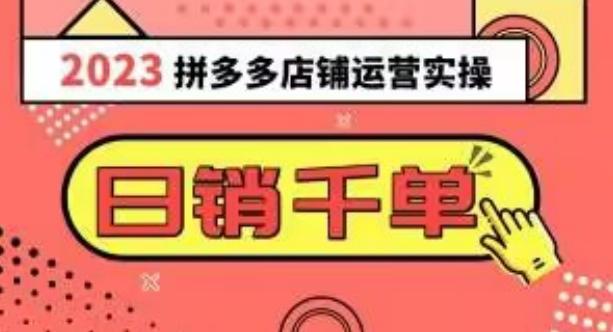 2023拼多多运营实操，每天30分钟日销1000＋，爆款选品技巧大全（10节课）-泱泱学习社