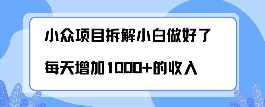 小众项目拆解，小白做好了每天可增加1000多的收入-泱泱学习社