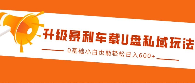 升级暴利车载U盘私域玩法，0基础小白也能轻松日入多张【揭秘】-泱泱学习社