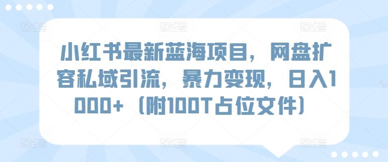 小红书最新蓝海项目，网盘扩容私域引流，暴力变现，日入1000+(附100T占位文件)【揭秘】-泱泱学习社
