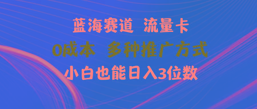 蓝海赛道 流量卡 0成本 小白也能日入三位数-泱泱学习社