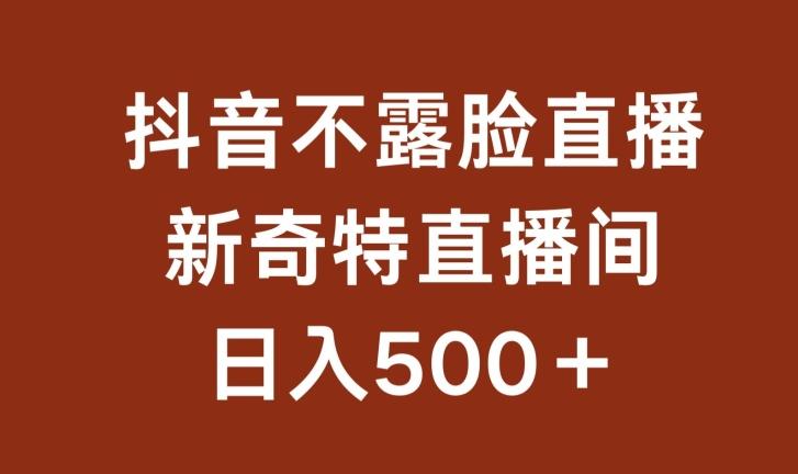 不露脸挂机直播，新奇特直播间，日入500+【揭秘】-泱泱学习社
