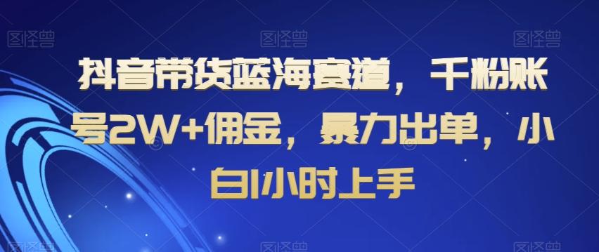 抖音带货蓝海赛道，千粉账号2W+佣金，暴力出单，小白1小时上手【揭秘】-泱泱学习社