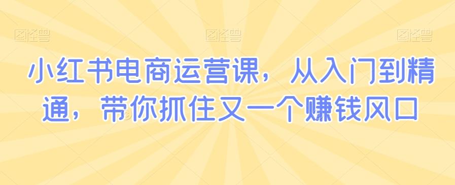 小红书电商运营课，从入门到精通，带你抓住又一个赚钱风口-泱泱学习社